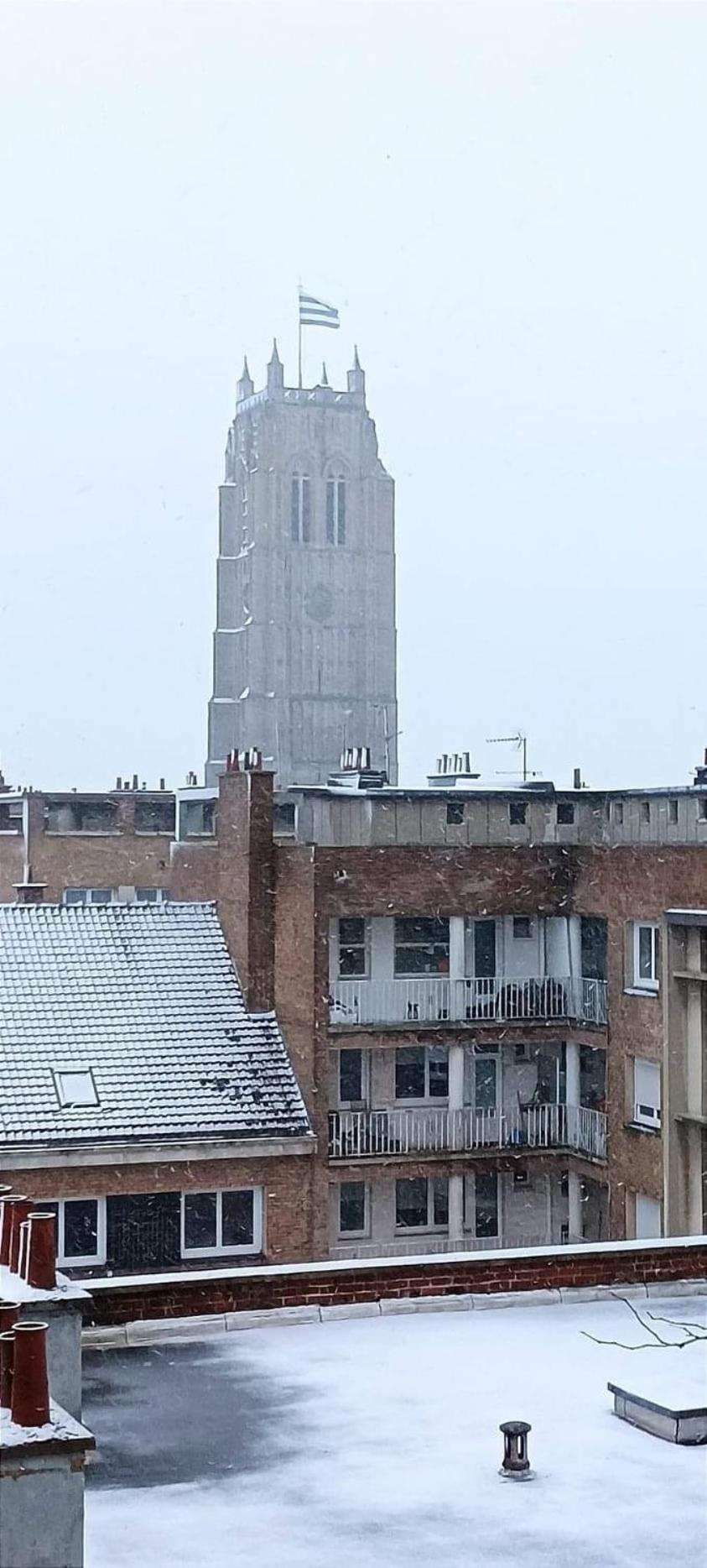 Maison De Ville Restylee Avec Jardin, Proche Gare Dunkirk Eksteriør billede